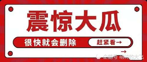 吃瓜八卦娱乐圈公众号,揭秘明星背后的秘密与真相！  第1张